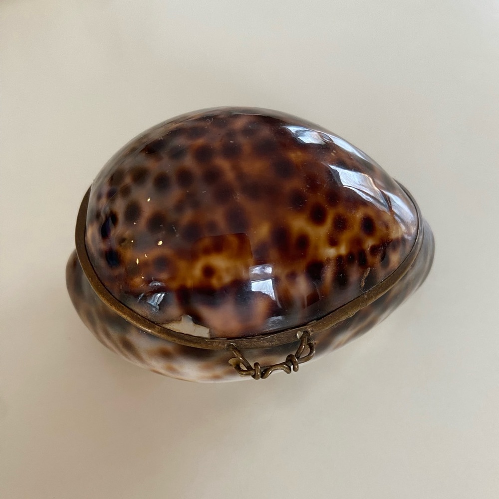 Vintage Tortoiseshell Trinket Box